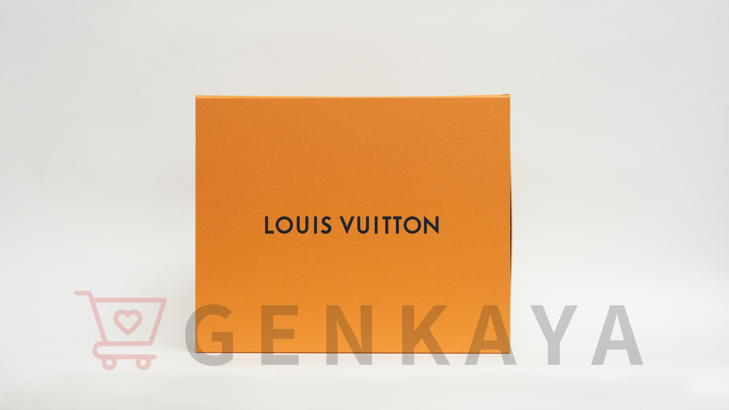 LOUIS VUITTON ダミエアンフィニ キャンパスバッグパック N40306 RFID反応あり